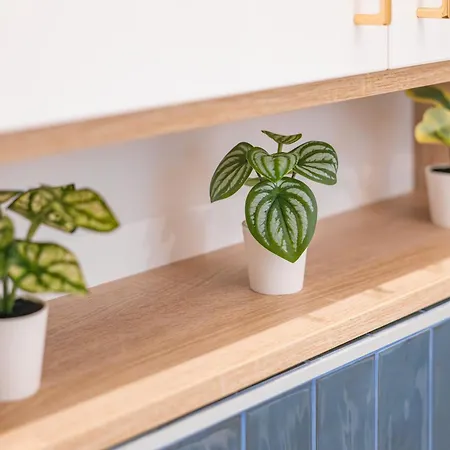 Appartement Andrassy - N14